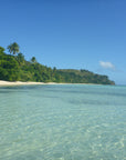 Fiji Tote (by Daniel Binzel)