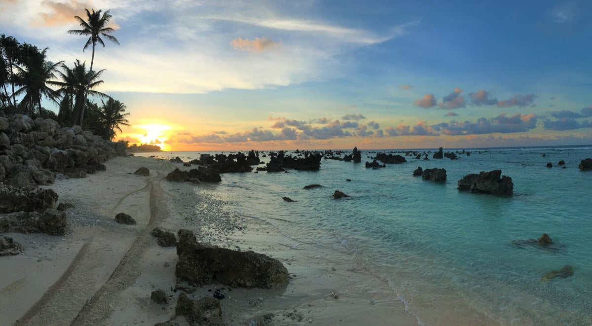 Nauru Tote (by Aaron John)